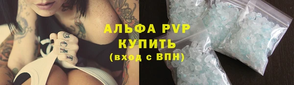 винт Алексин