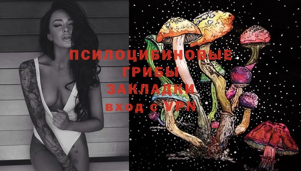кокс Алзамай