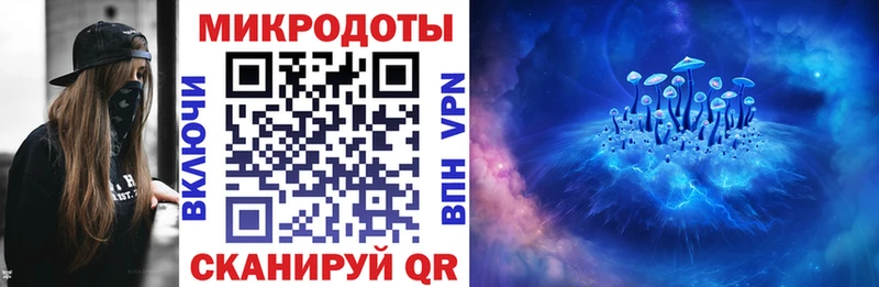 Псилоцибиновые грибы Psilocybe  Купить  Сыктывкар 